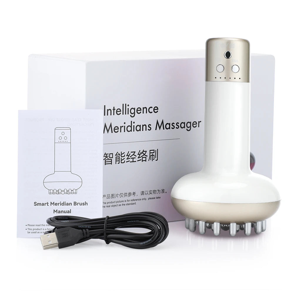 Microcurrent Anti Cellulite Guasha Eletric Guahsa Massager -